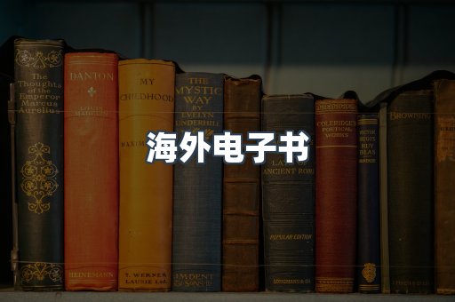海外电子书